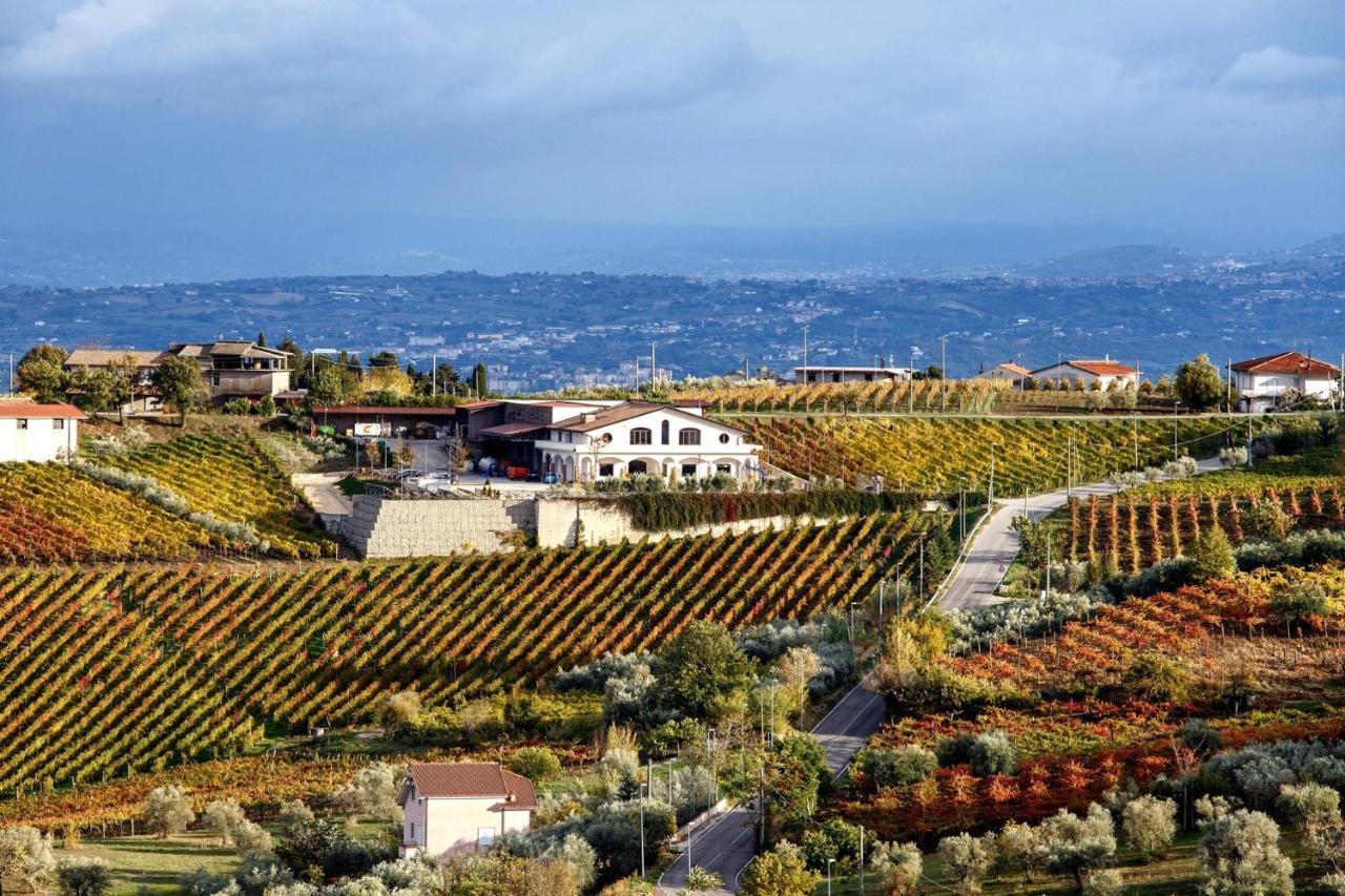 Cantine Iannella Torrecuso المظهر الخارجي الصورة